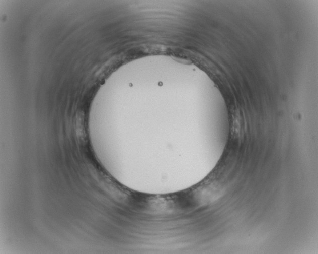 X0000074930616200609291759