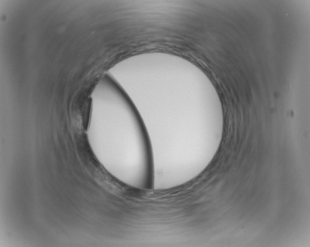 X0000074930617200609291759