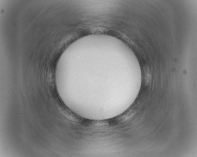 X0000074930619200609291759