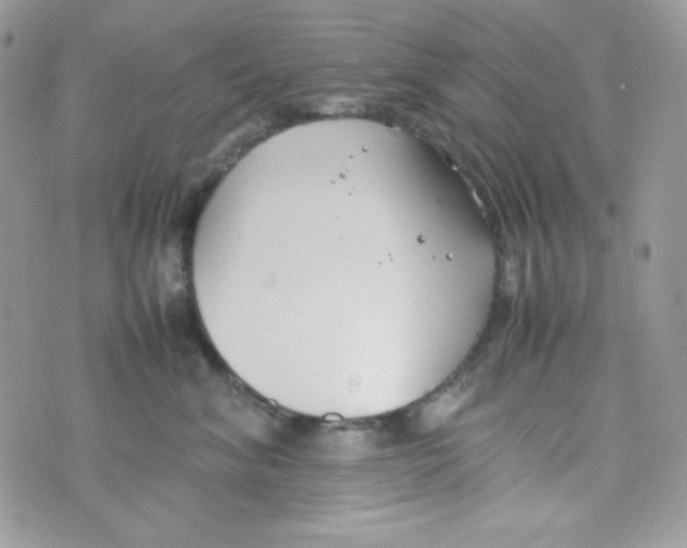 X0000074930620200609291759