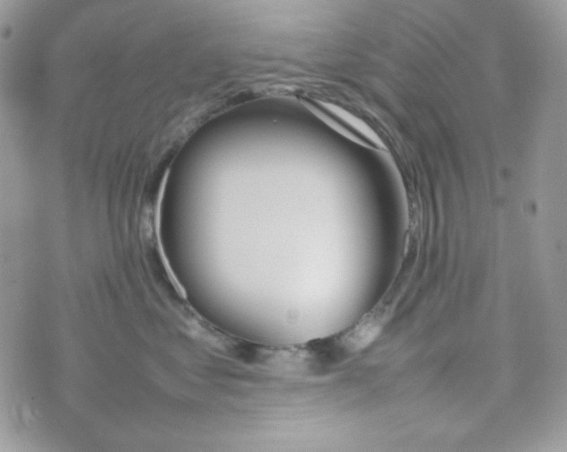 X0000074930621200609291759