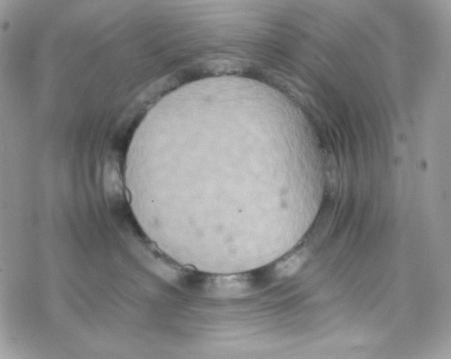 X0000074930622200609291758