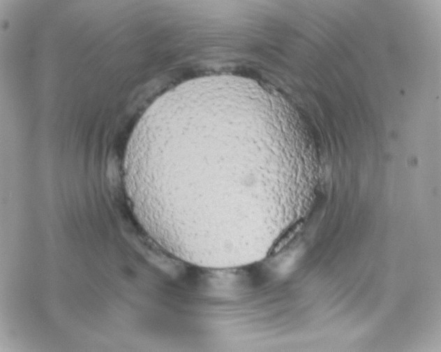 X0000074930623200609291758