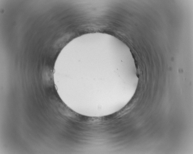 X0000074930624200609291758