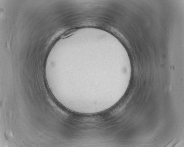 X0000074930625200609291758