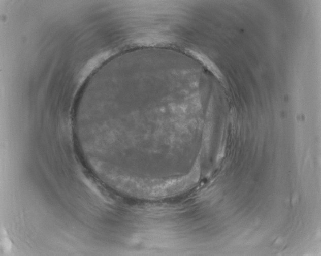 X0000074930626200609291758