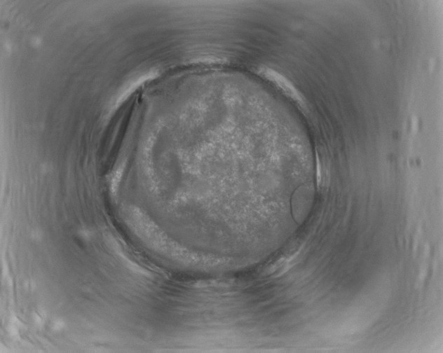 X0000074930627200609291758