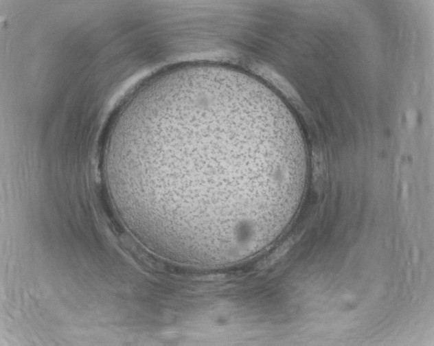 X0000074930628200609291758