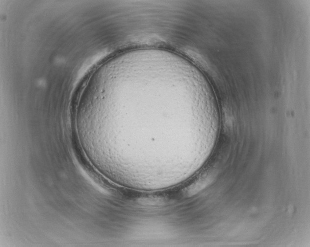 X0000074930630200609291758