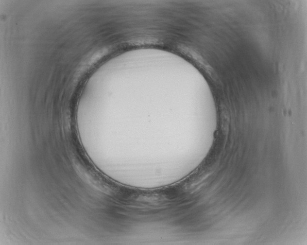 X0000074930631200609291758