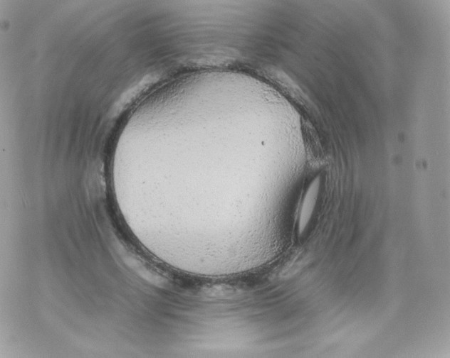 X0000074930634200609291758