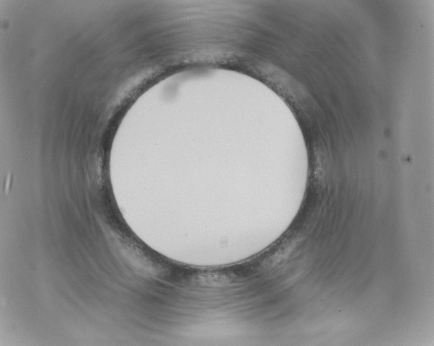 X0000074930636200609291758