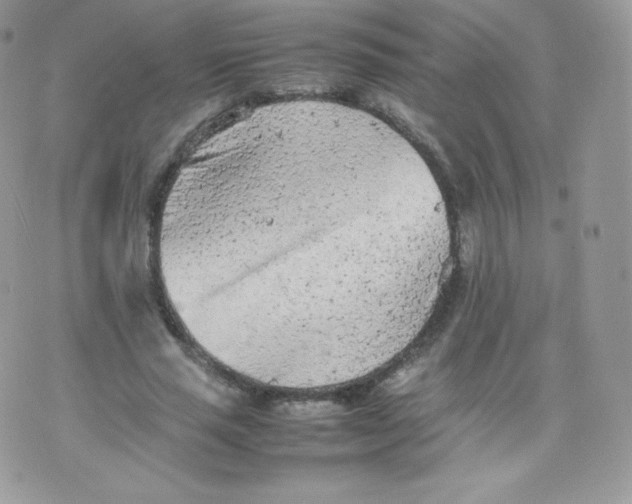 X0000074930637200609291758