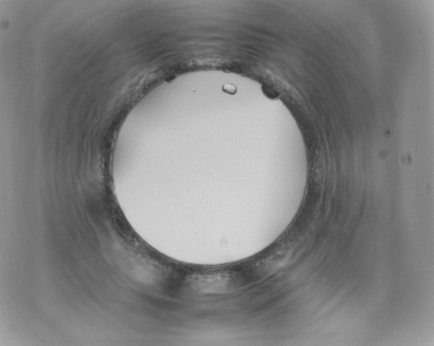 X0000074930639200609291758