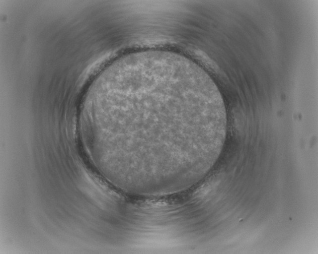 X0000074930640200609291758