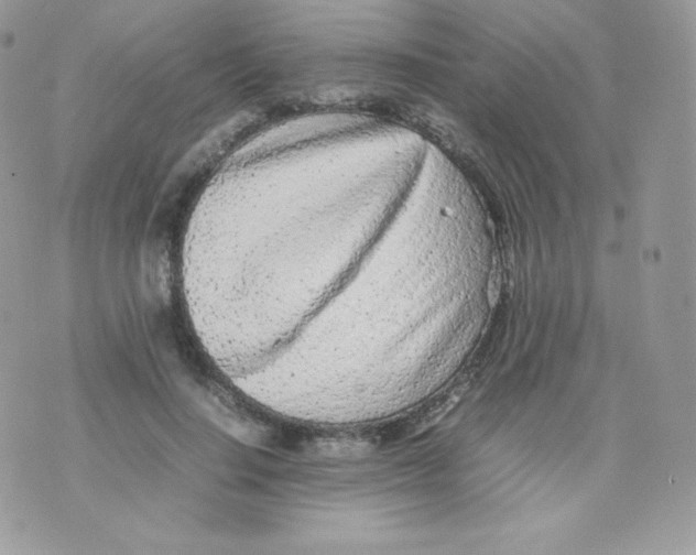 X0000074930644200609291758