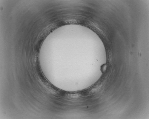 X0000074930645200609291758