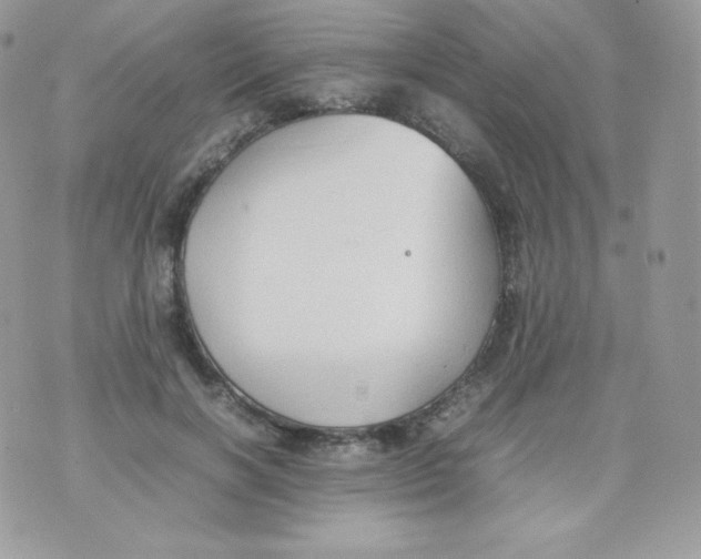 X0000074930646200609291758