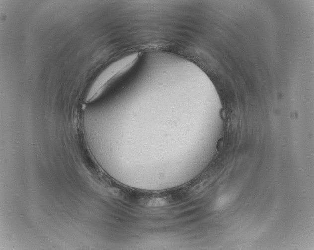 X0000074930647200609291758