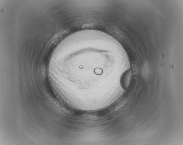 X0000074930648200609291758