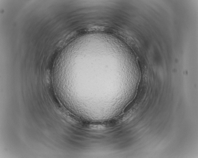 X0000074930649200609291758