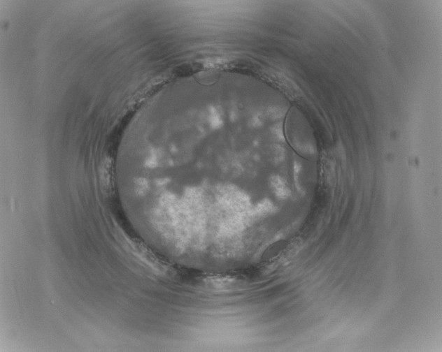 X0000074930650200609291758