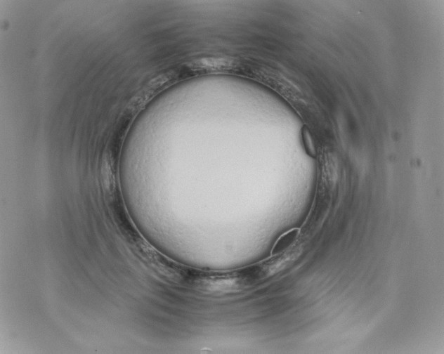 X0000074930651200609291758