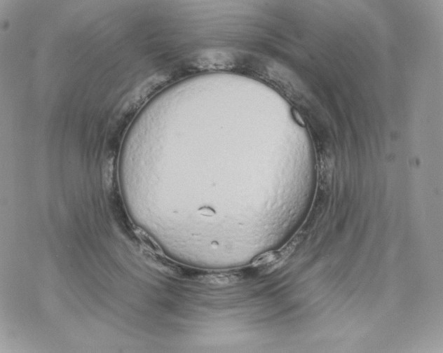 X0000074930652200609291758