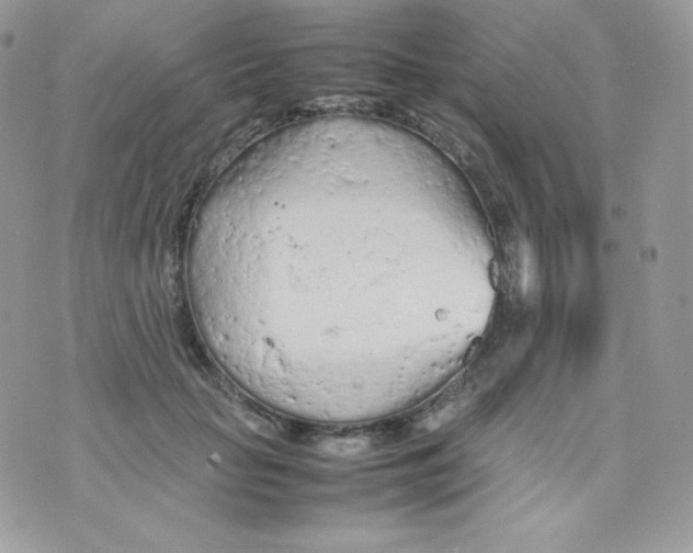 X0000074930653200609291758