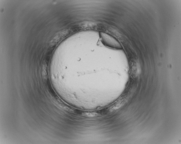 X0000074930654200609291758