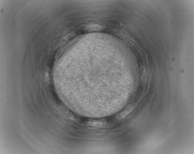 X0000074930655200609291758