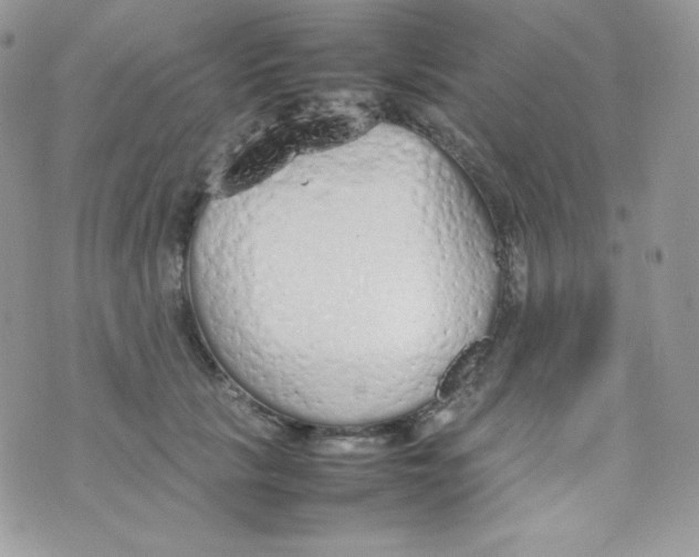 X0000074930657200609291758