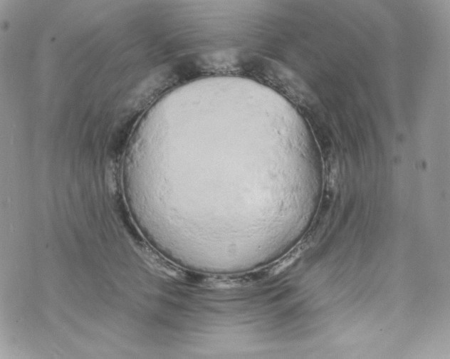 X0000074930658200609291758