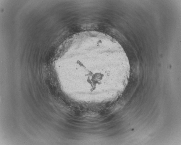 X0000074930659200609291758