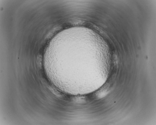 X0000074930664200609291758