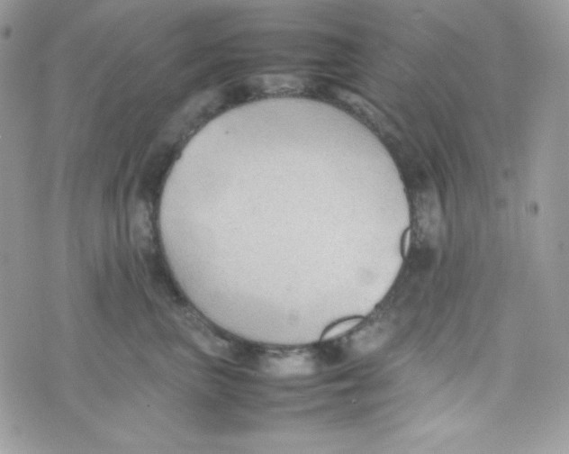 X0000074930667200609291758