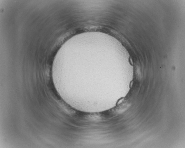 X0000074930668200609291758