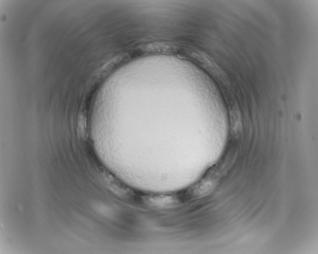 X0000074930669200609291758