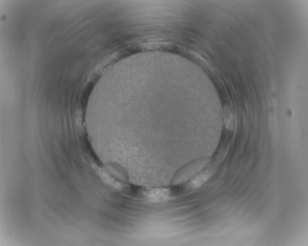 X0000074930670200609291758