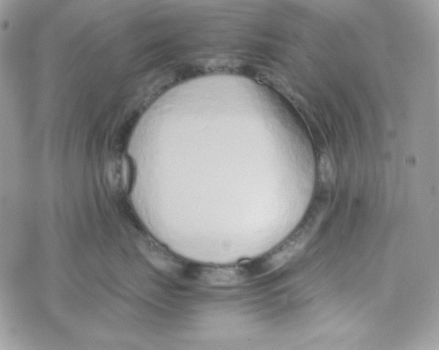 X0000074930671200609291758