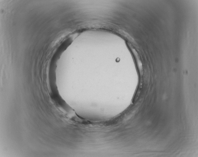 X0000074930673200609291758