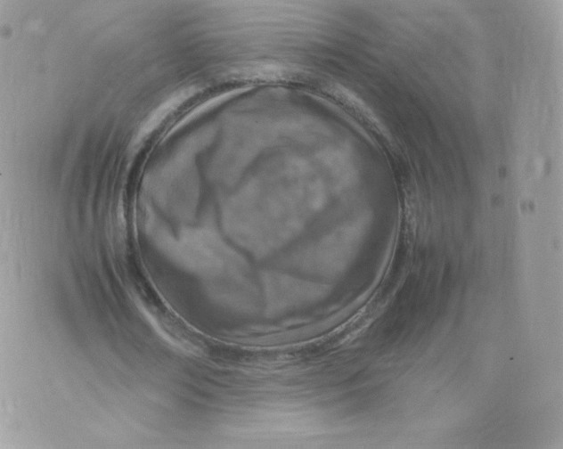 X0000074930674200609291758