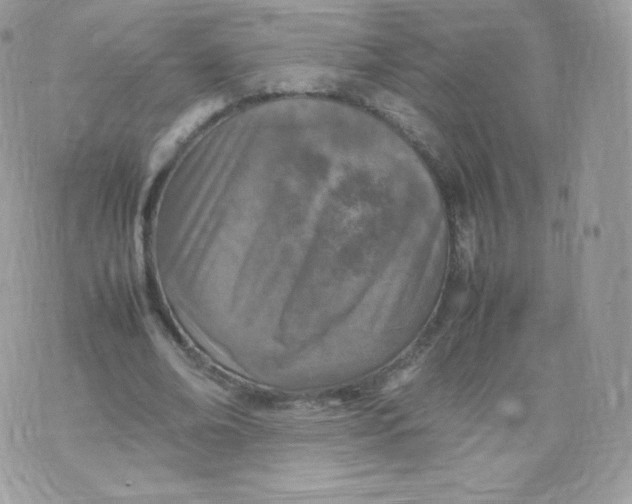 X0000074930678200609291758