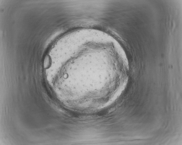 X0000074930679200609291758