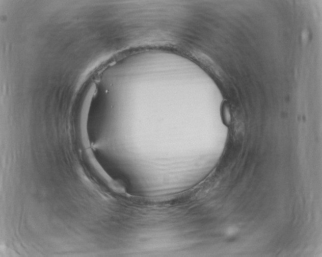 X0000074930680200609291758