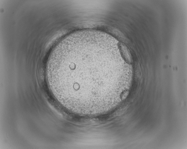 X0000074930683200609291758