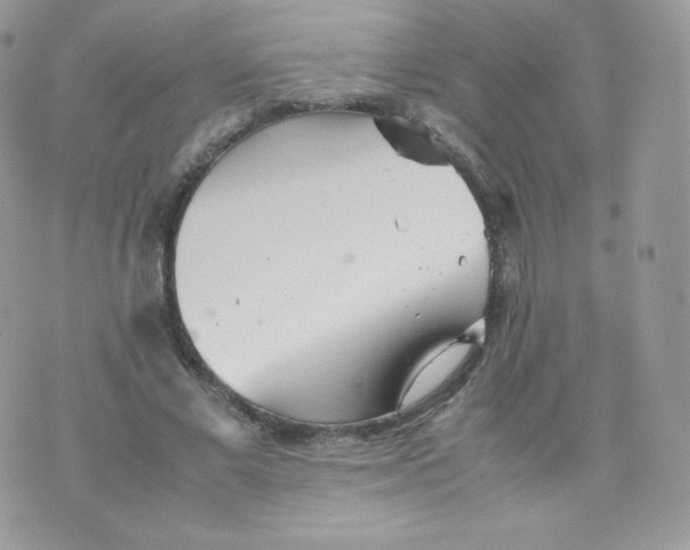 X0000074930685200609291757