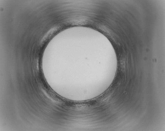 X0000074930686200609291757