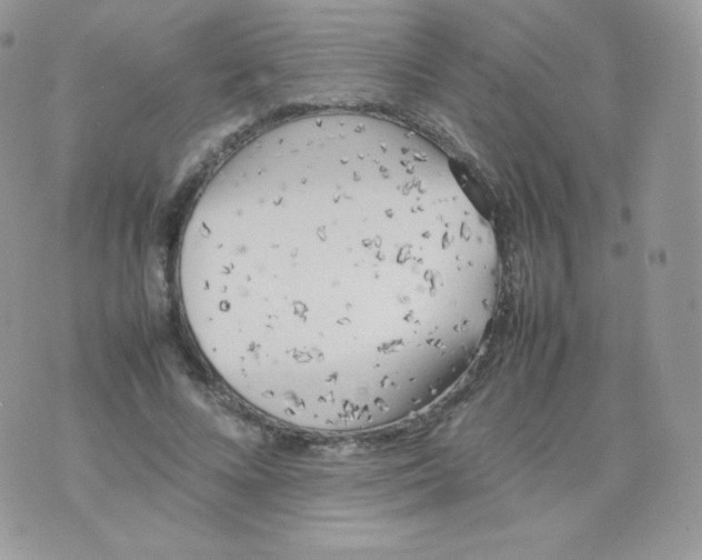 X0000074930688200609291757