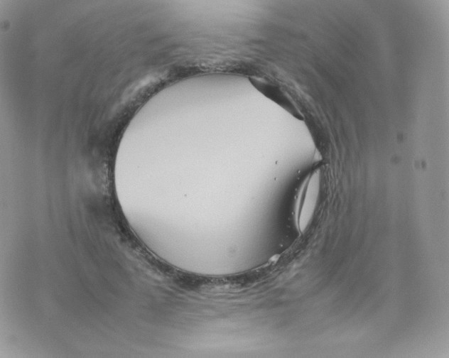 X0000074930689200609291757